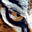 Avatar de Tiger Fénix