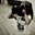 Avatar de msdana27