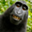 Avatar de mendoliva