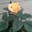 Avatar de mariu58