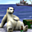 Avatar de 26653