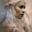 Avatar de Daenerys Targaryen