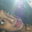 Avatar de candela lara ibarra