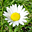 Avatar de deries
