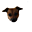 Avatar de nuut