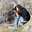 Avatar de vicotrew