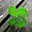 Avatar de eliam84