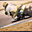 Avatar de franzxr