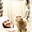 Avatar de manu_catman