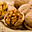Avatar de walnuts