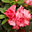 Avatar de Gloria C. Fernandez