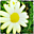 Avatar de Silvia