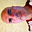 Avatar de marcosfa