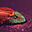 Avatar de oscargg