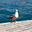 Avatar de lory6888