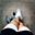Avatar de miguel-mty