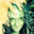 cristales avatar