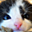 Avatar de situnovuelves