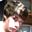 Avatar de diegofreire