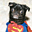 Avatar de superperro