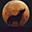 Avatar de funkoyote