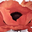 Avatar de yalaluna