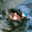 Avatar de anyely