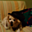Avatar de gaia