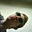 Avatar de Roul Arzate
