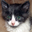 Avatar de mulinandu 