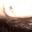 Avatar de siempremoda