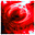 Avatar de Wilk