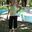 Avatar de alicia pagella