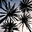 Avatar de d2k6 