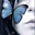 Avatar de nebulosa