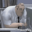 Avatar de automono