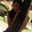 Avatar de estigiamlg
