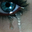 Avatar de criistiina