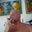 Avatar de don.terry