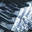 Avatar de dantronk