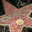 Avatar de ixeus