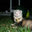 Avatar de albertomx