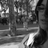 lena_world