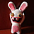 rabbit