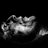 redmann_sauer