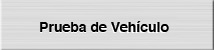 Prueba de vehículo