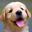 puppy7Avatar de