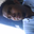 macma83Avatar de