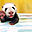 aratzAvatar de