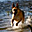 toto77Avatar de